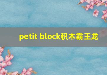 petit block积木霸王龙